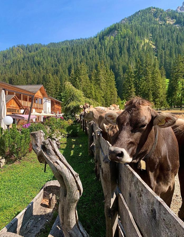 Alpin Natur Hotel Brueckele Braies  Εξωτερικό φωτογραφία