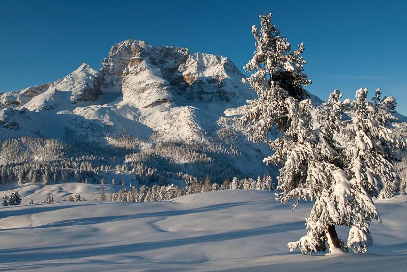 Alpin Natur Hotel Brueckele Braies  Εξωτερικό φωτογραφία